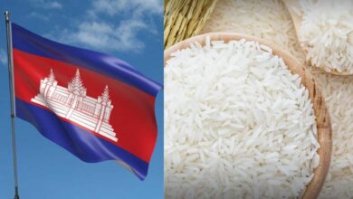 Beras Kemboja tetapi dilabel dari Thailand dijual di pasaran China