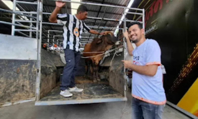 Beli kereta dapat lembu korban percuma
