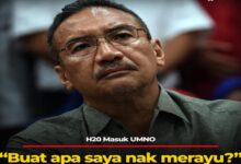 Perlukah UMNO Terima Hishamuddin Hussien