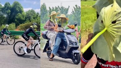 Trend pakai daun teratai elak sinaran matahari