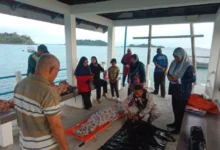 Dua beradik lemas ketika berkelah di Pulau Mentigi, Mersing