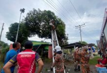 Terkena renjatan elektrik ketika petik mangga, lelaki maut di atas pokok