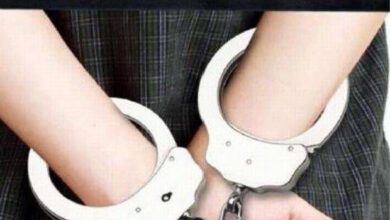 Immigration Department detains 35 foreigners without valid permits