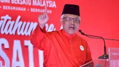 Hamzah appointed Bersatu election director
