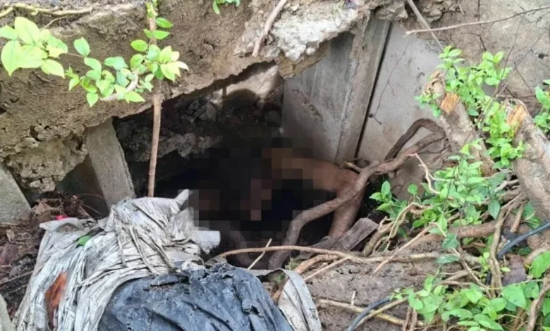 Terperangkap dalam lubang pembetung tanpa seurat benang