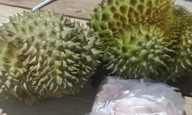 Ibu minta polis tangkap anak tukar durian dengan pil kuda