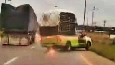 Trak pikap bawa muatan durian terputus dua