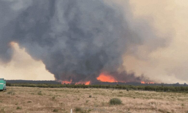 Pusaran api musnahkan hutan negeri AS