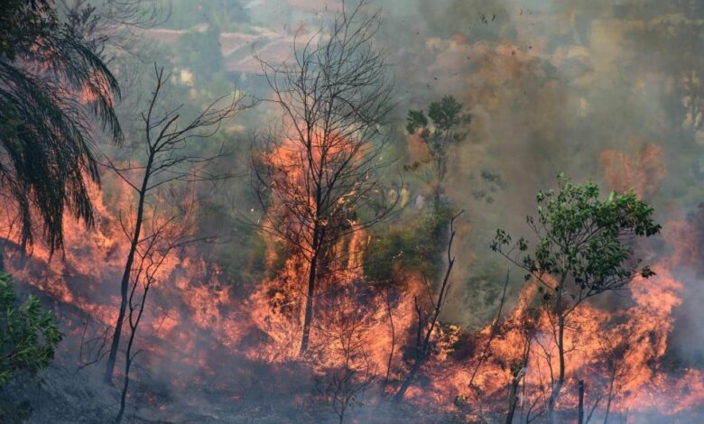Indonesia mulakan pembenihan awan