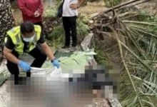 Remaja berehat atas jambatan maut dihempap pokok sawit