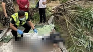 Remaja berehat atas jambatan maut dihempap pokok sawit