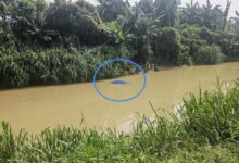 Polis cari suami isteri melarikan diri selepas kereta terjunam dalam sungai