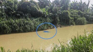 Polis cari suami isteri melarikan diri selepas kereta terjunam dalam sungai