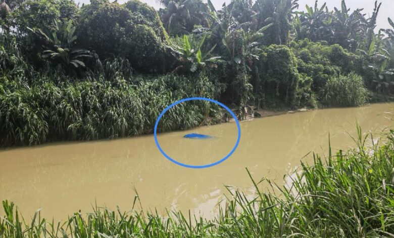 Polis cari suami isteri melarikan diri selepas kereta terjunam dalam sungai