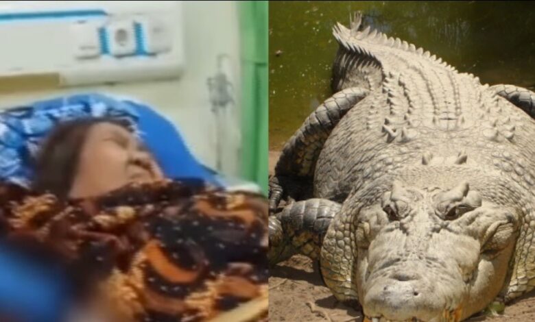 Nenek diterkam buaya ketika ambil wuduk di sungai