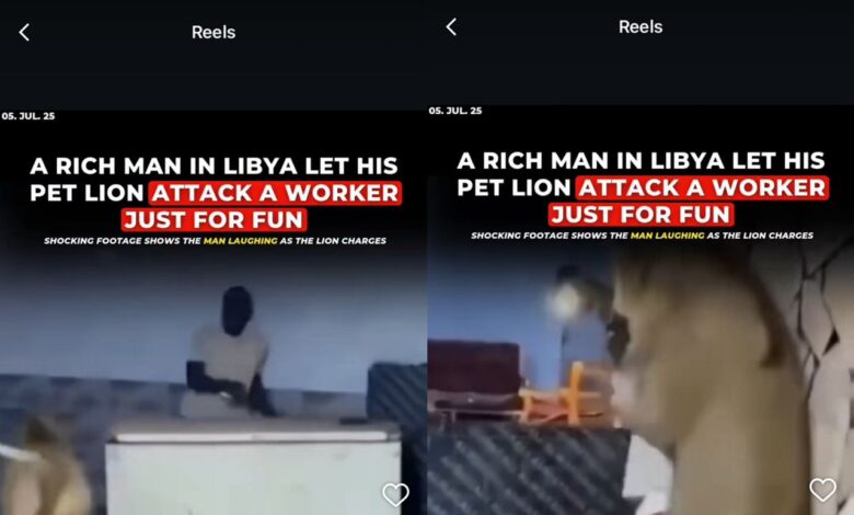 Lelaki arah singa peliharaan serang pekerja