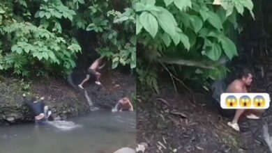 ﻿Lelaki nyaris jadi makanan ular di sungai