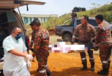 Peluncur udara tersasar, jatuh dalam belukar