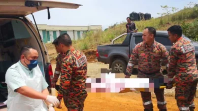 Peluncur udara tersasar, jatuh dalam belukar