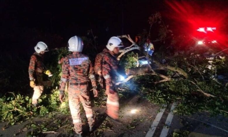 Warga Pakistan maut dihempap pokok akibat ribut