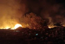 Bomba padam kebakaran longgokan sampah 0.8 hektar di Bestari Jaya
