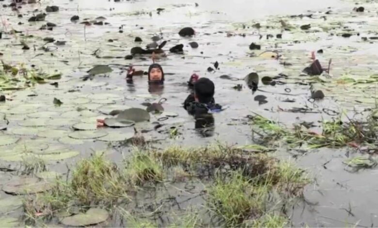 Suami ghaib selepas terjun dalam kolam teratai