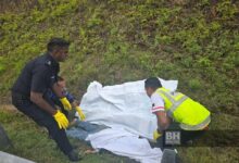 Penuntut wanita maut, motosikal terbabas di susur masuk R&R Perasing