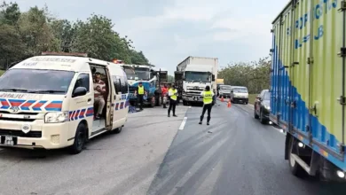 Driver killed as smoke from stalled lorry causes 12-vehicle pileup