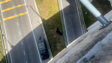 Police: 19-year-old motorcyclist dies after falling 21 metres from DASH flyover near Shah Alam