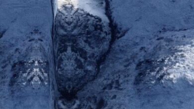 Netizen jumpa bentuk wajah makhluk asing di gunung Chile