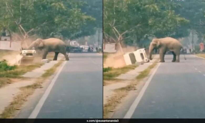 Trak terbalik disondol gajah