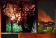 Kawasan hutan di Jalan Kiambang Sari 1, dekat FELDA Sungai Buaya dilapor terbakar semalam membabitkan keluasan kira-kira 24.28 hektar. - Foto ihsan FB / HAZMIR BAHARI