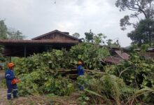 60 rumah daripada 8 kampung di Sik rosak akibat ribut