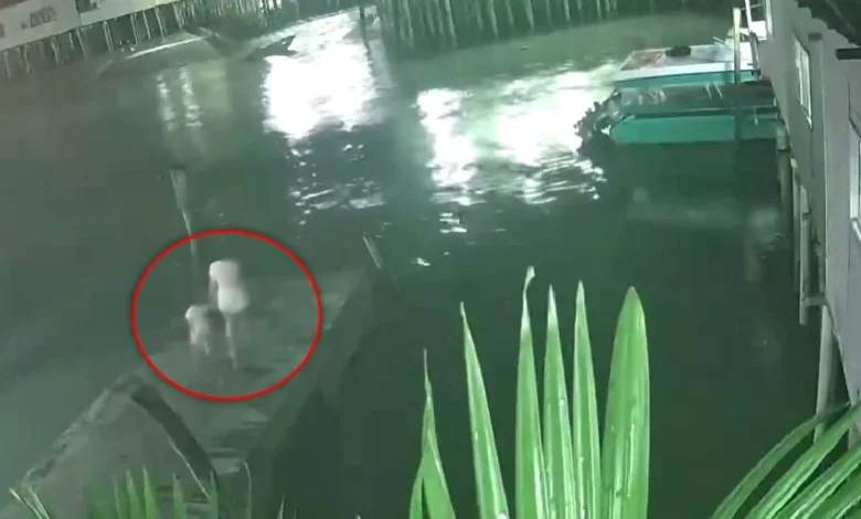 Mayat 2 beranak ditemukan terapung berhampiran Jeti Pulau Ketam