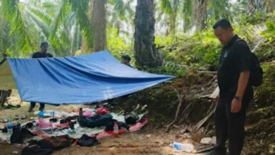 Serbuan dalam ladang kelapa sawit: Polis tahan 4 lelaki, rampas dadah RM14,700