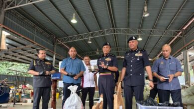 Kayu gaharu, peralatan bernilai RM106 juta disita