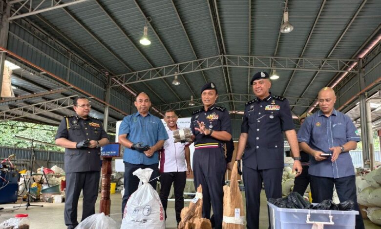 Kayu gaharu, peralatan bernilai RM106 juta disita