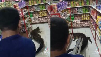 Buaya darat masuk kedai