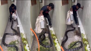 ‘Ini sebab wanita hidup lebih lama berbanding lelaki’
