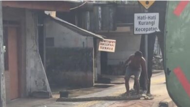 Lelaki sengaja rentang ular sawa di kaki lima