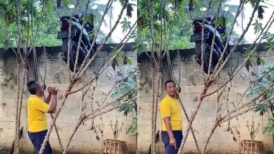 Siapa sangkut motosikal atas tembok?