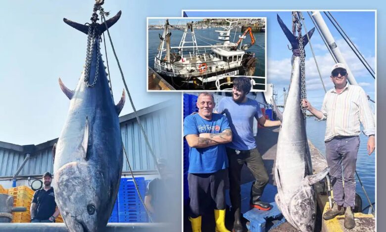 Nelayan ‘jerat’ tuna sirip biru gergasi