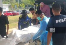 'Ibu rayu, timbullah sayang', rayuan sebelum jasad Nik Zariff ditemui