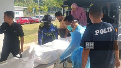 'Ibu rayu, timbullah sayang', rayuan sebelum jasad Nik Zariff ditemui