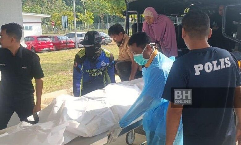 'Ibu rayu, timbullah sayang', rayuan sebelum jasad Nik Zariff ditemui