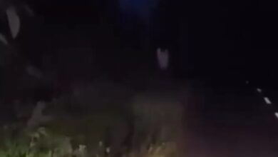 Penduduk resah puntianak tunggu tepi jalan