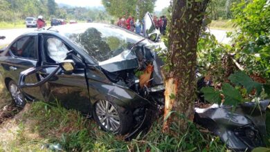 Kereta langgar pokok, suami isteri parah, anak kembar cedera