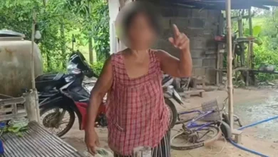 Bukan kisah Norma, ibu mentua ‘kerjakan’ menantu ‘ulat bulu’
