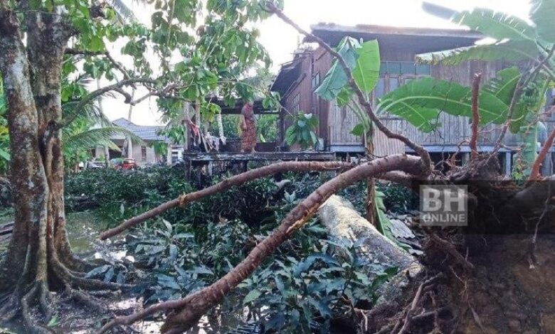 Rumah warga emas rosak teruk dihempap pokok