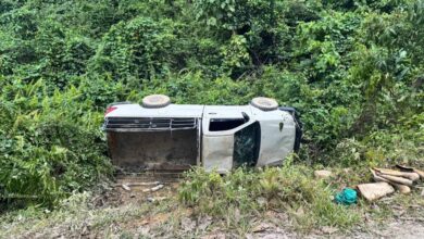 Dua pekerja ladang maut dihempap pikap